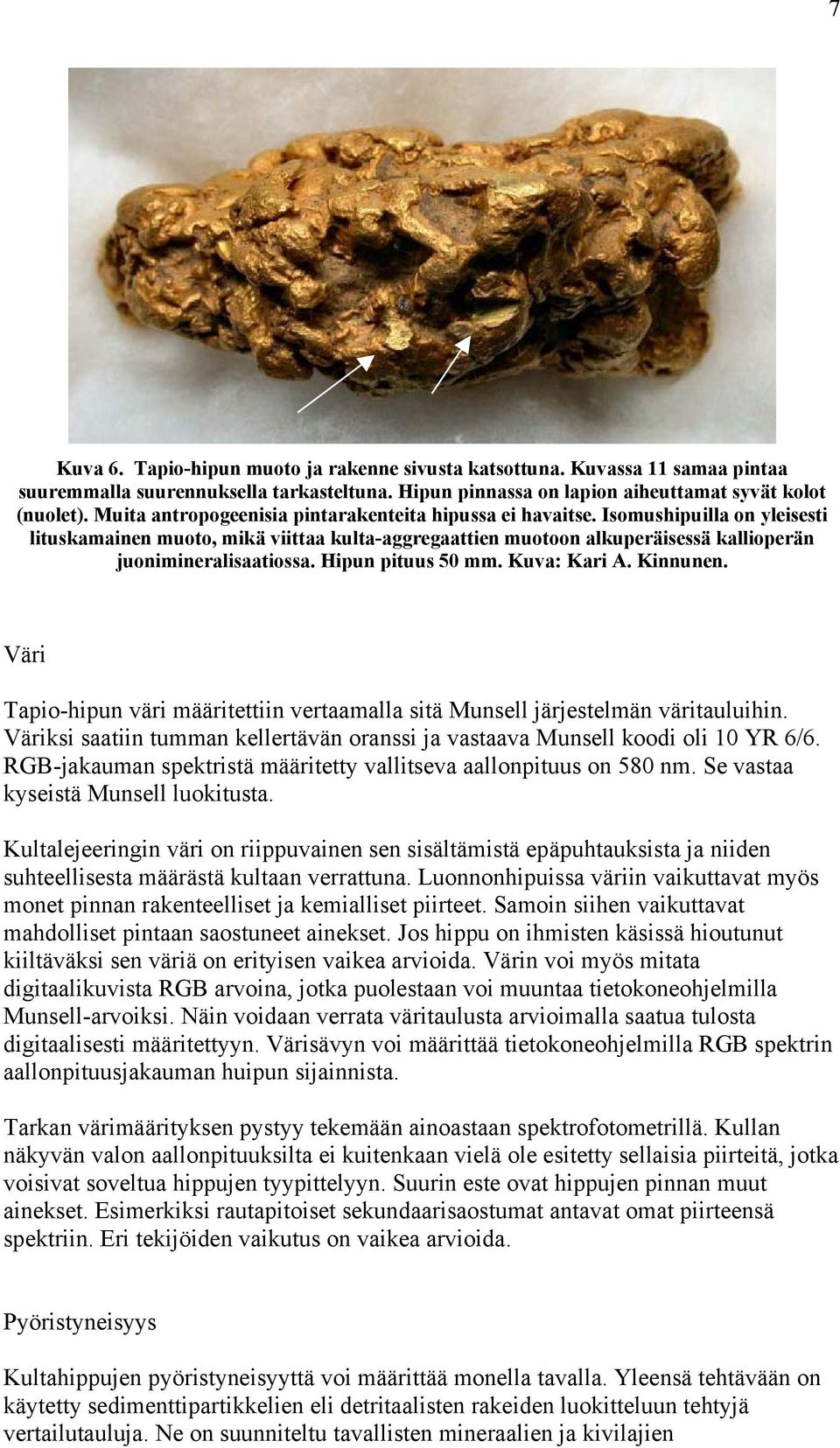 Hipun pituus 50 mm. Kuva: Kari A. Kinnunen. Väri Tapio-hipun väri määritettiin vertaamalla sitä Munsell järjestelmän väritauluihin.