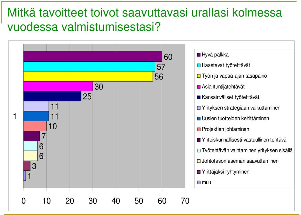 Kansainväliset työtehtävät Yrityksen strategiaan vaikuttaminen Uusien tuotteiden kehittäminen Projektien johtaminen