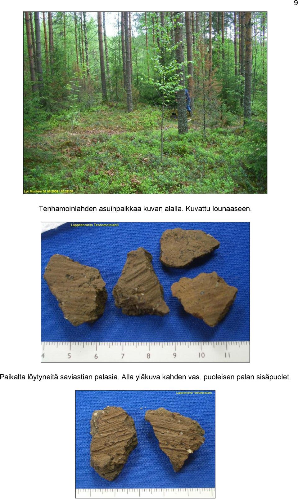 Paikalta löytyneitä saviastian palasia.