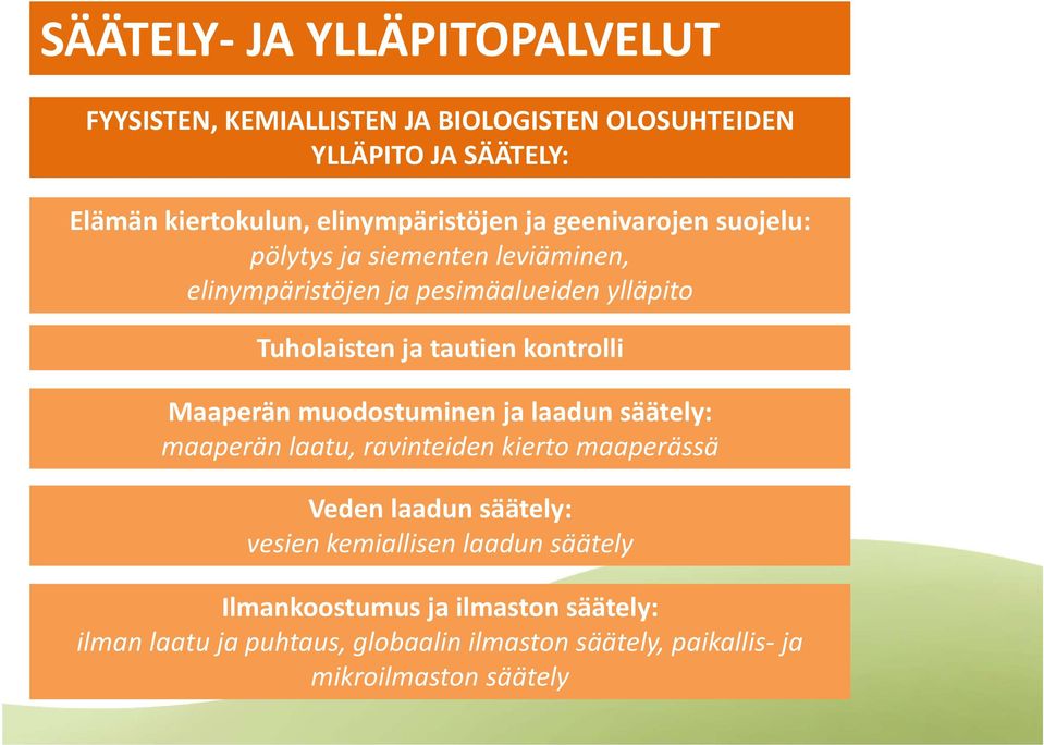 tautien kontrolli Maaperän muodostuminen ja laadun säätely: maaperän laatu, ravinteiden kierto maaperässä Veden laadun säätely: vesien