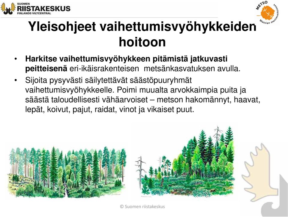 Sijoita pysyvästi säilytettävät säästöpuuryhmät vaihettumisvyöhykkeelle.