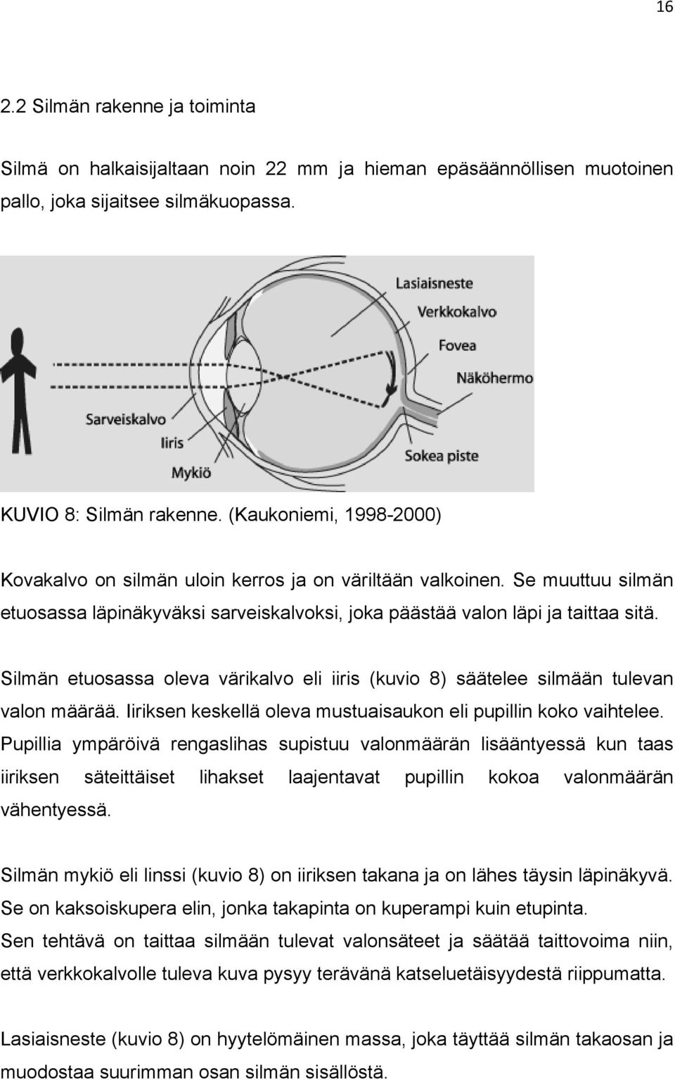 Silmän etuosassa oleva värikalvo eli iiris (kuvio 8) säätelee silmään tulevan valon määrää. Iiriksen keskellä oleva mustuaisaukon eli pupillin koko vaihtelee.