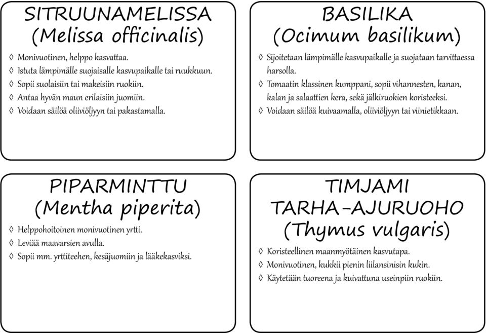 Tomaatin klassinen kumppani, sopii vihannesten, kanan, kalan ja salaattien kera, sekä jälkiruokien koristeeksi. Voidaan säilöä kuivaamalla, oliiviöljyyn tai viinietikkaan.