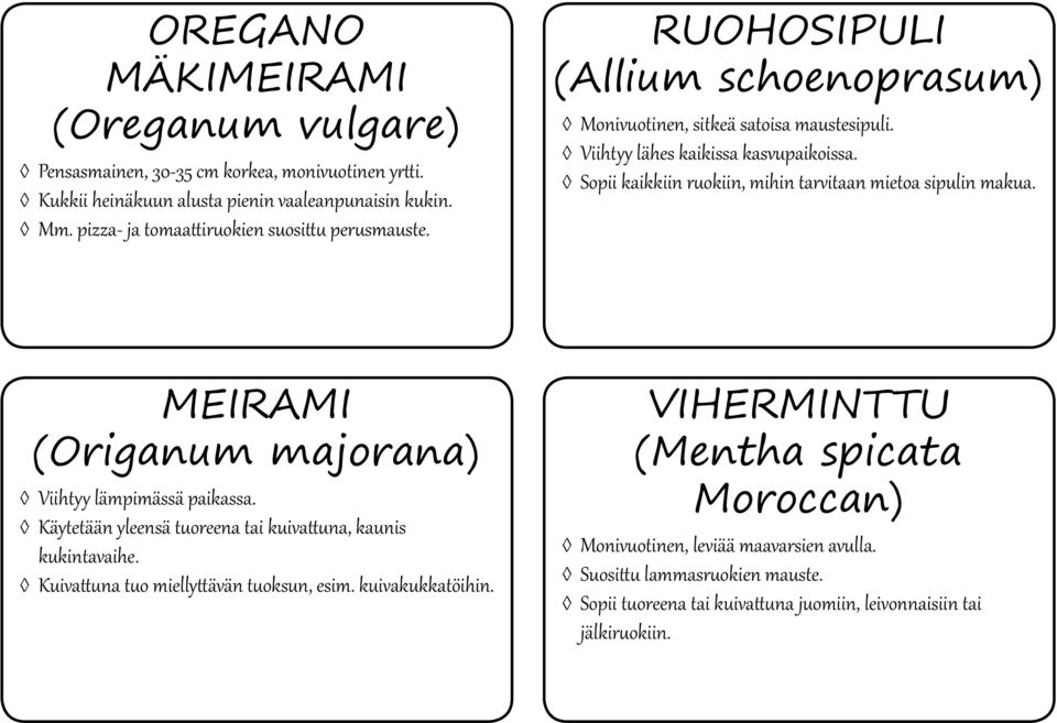 Sopii kaikkiin ruokiin, mihin tarvitaan mietoa sipulin makua. MEIRAMI (Origanum majorana) Viihtyy lämpimässä paikassa. Käytetään yleensä tuoreena tai kuivattuna, kaunis kukintavaihe.