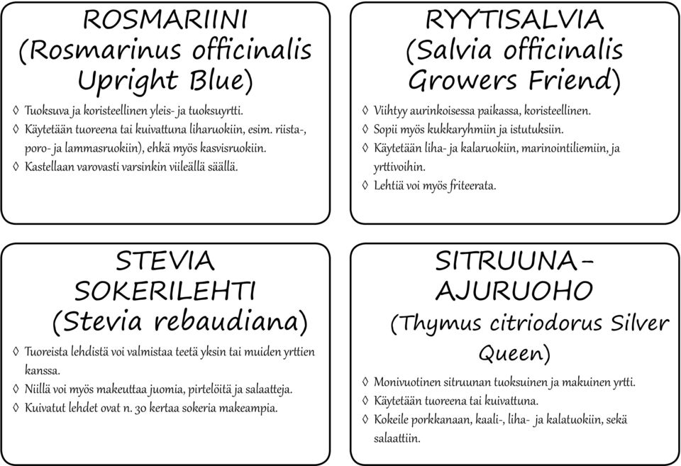 RYYTISALVIA (Salvia officinalis Growers Friend) Viihtyy aurinkoisessa paikassa, koristeellinen. Sopii myös kukkaryhmiin ja istutuksiin.