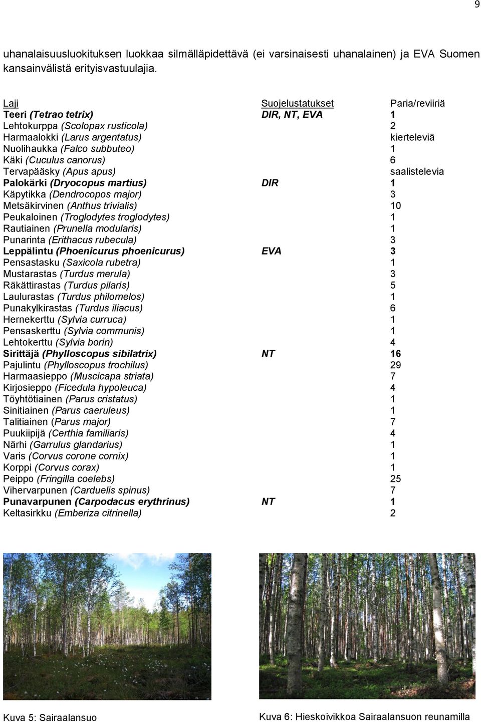 canorus) 6 Tervapääsky (Apus apus) saalistelevia Palokärki (Dryocopus martius) DIR 1 Käpytikka (Dendrocopos major) 3 Metsäkirvinen (Anthus trivialis) 10 Peukaloinen (Troglodytes troglodytes) 1