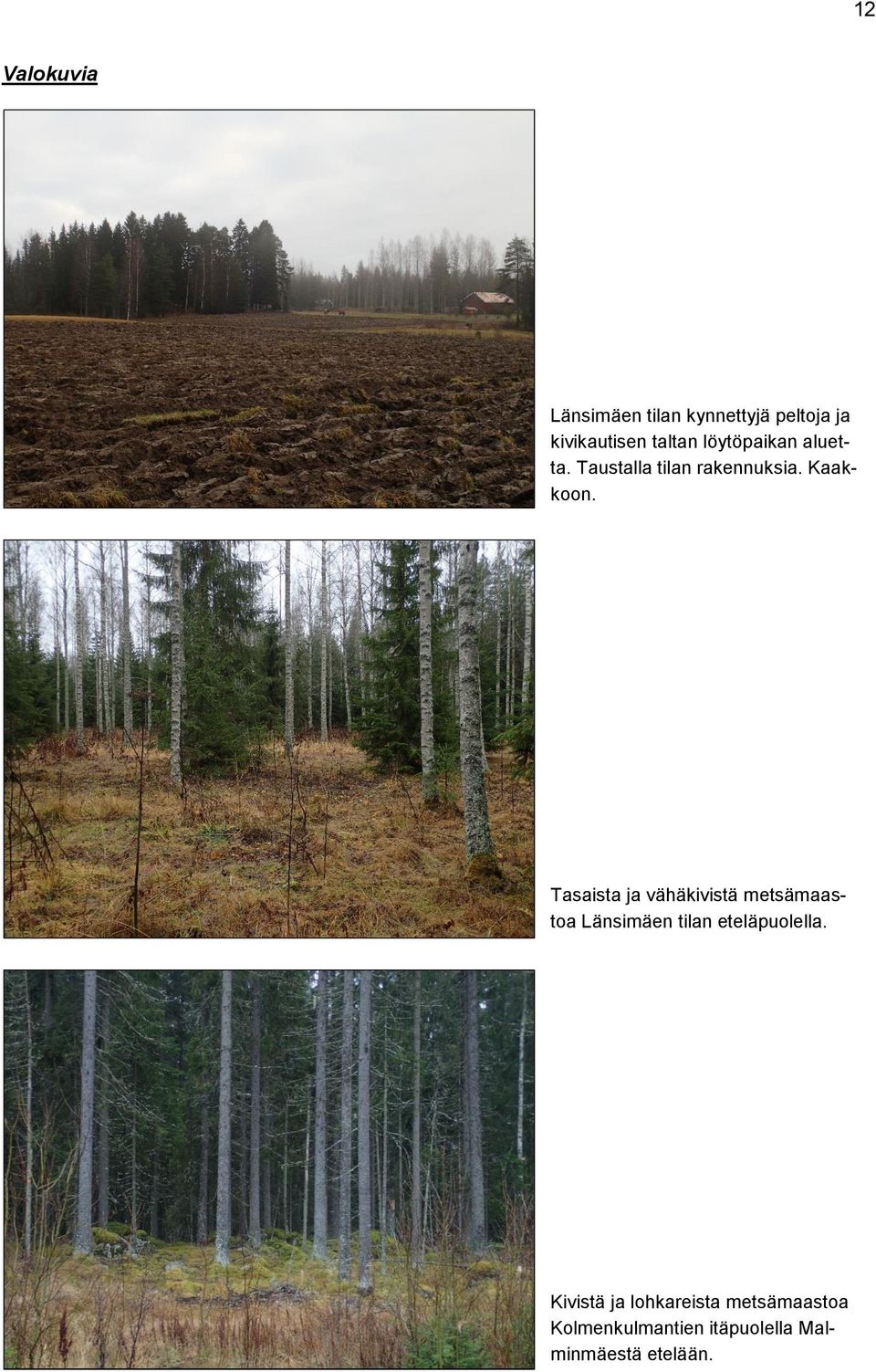Tasaista ja vähäkivistä metsämaastoa Länsimäen tilan eteläpuolella.