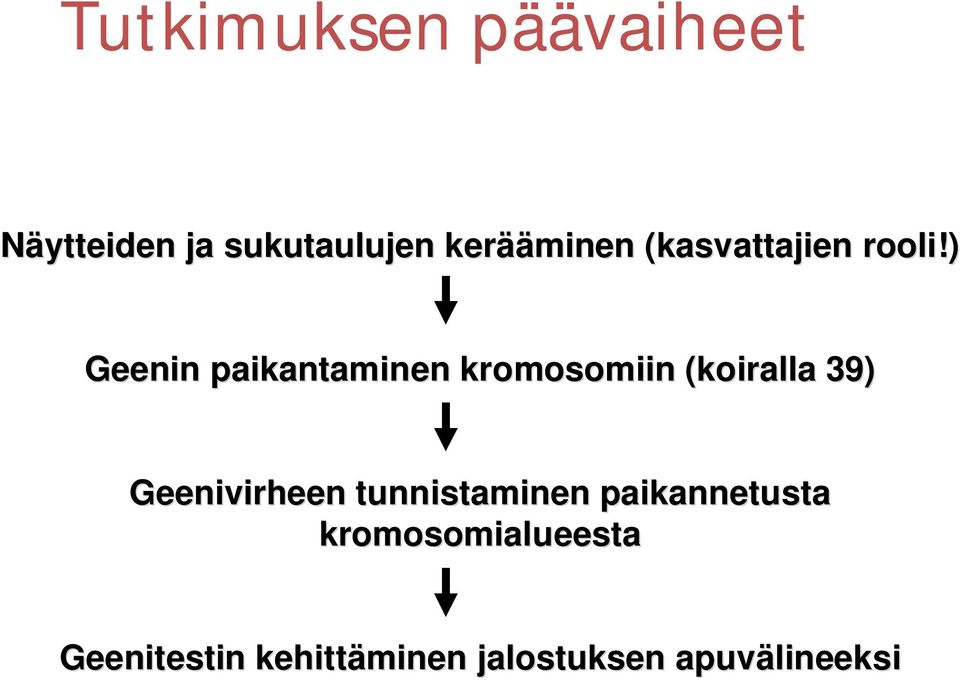 ) Geenin paikantaminen kromosomiin (koiralla 39)