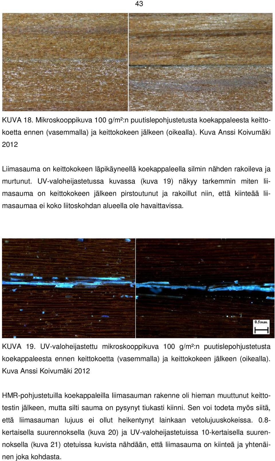 UV-valoheijastetussa kuvassa (kuva 19) näkyy tarkemmin miten liimasauma on keittokokeen jälkeen pirstoutunut ja rakoillut niin, että kiinteää liimasaumaa ei koko liitoskohdan alueella ole