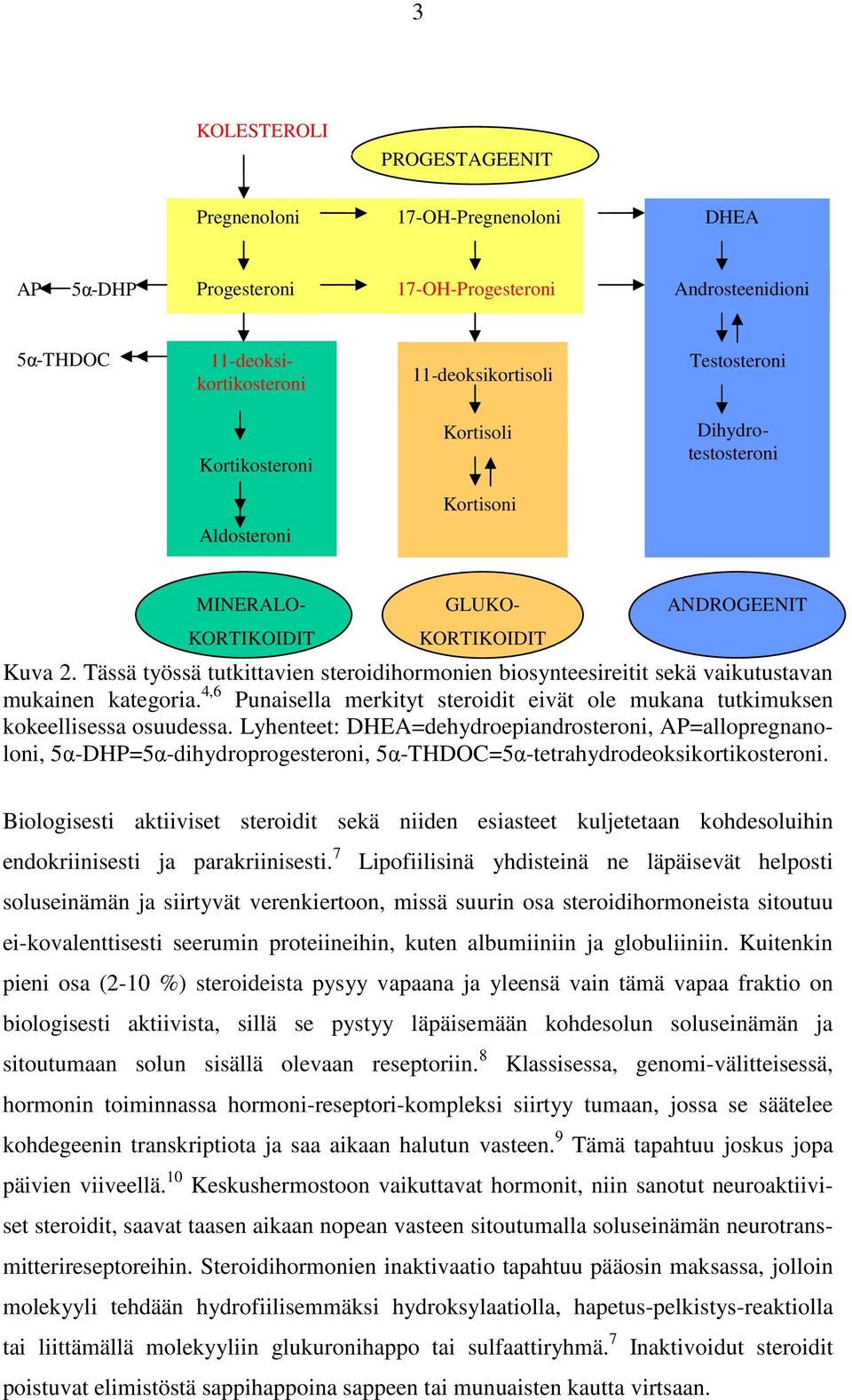 Tässä työssä tutkittavien steroidihormonien biosynteesireitit sekä vaikutustavan mukainen kategoria. 4,6 Punaisella merkityt steroidit eivät ole mukana tutkimuksen kokeellisessa osuudessa.