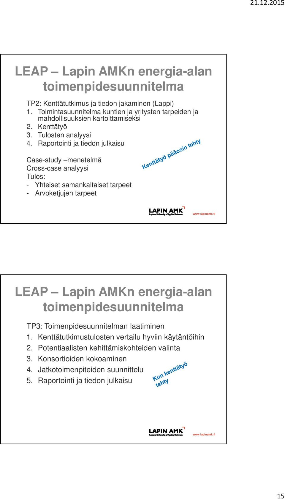 Raportointi ja tiedon julkaisu Case-study menetelmä Cross-case analyysi Tulos: - Yhteiset samankaltaiset tarpeet - Arvoketjujen tarpeet LEAP Lapin AMKn