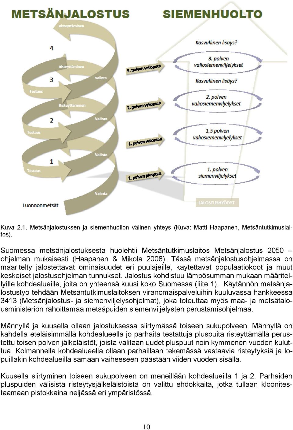 Tässä metsänjalostusohjelmassa on määritelty jalostettavat ominaisuudet eri puulajeille, käytettävät populaatiokoot ja muut keskeiset jalostusohjelman tunnukset.