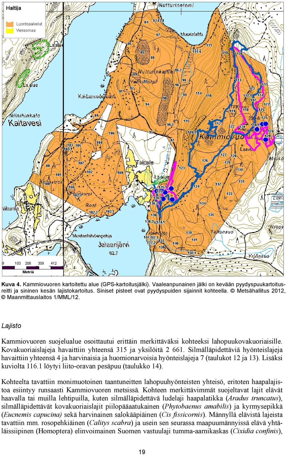 Lajisto Kammiovuoren suojelualue osoittautui erittäin merkittäväksi kohteeksi lahopuukovakuoriaisille. Kovakuoriaislajeja havaittiin 315 ja yksilöitä 2 661.