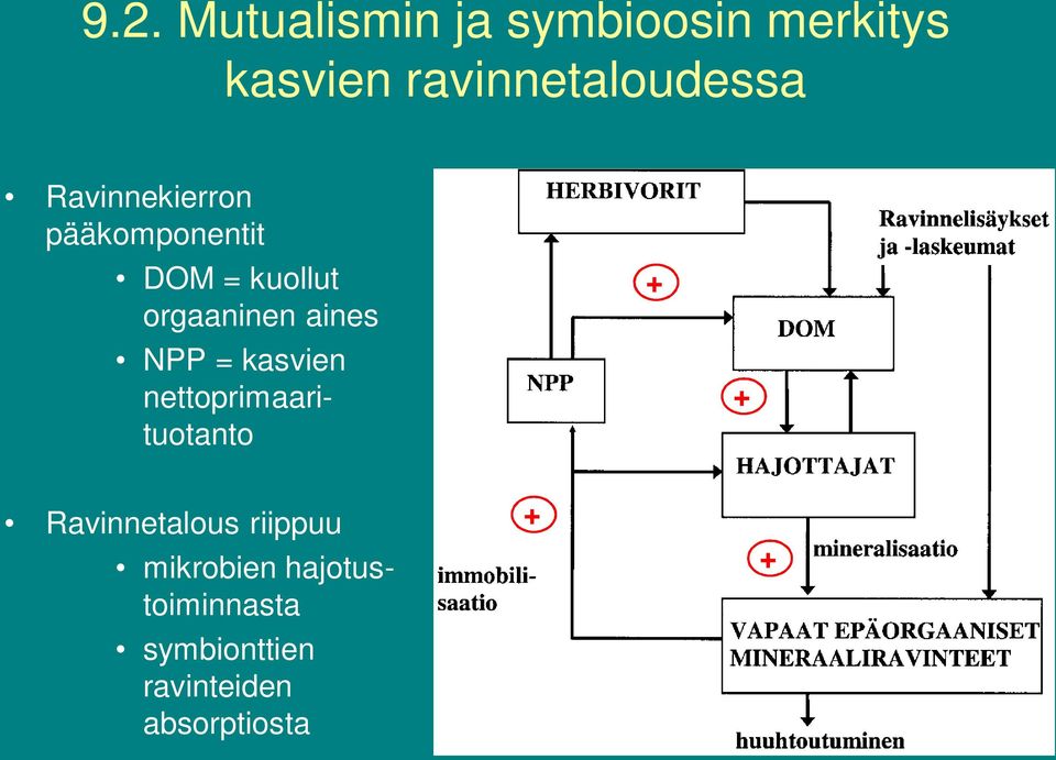 orgaaninen aines NPP = kasvien nettoprimaarituotanto + +
