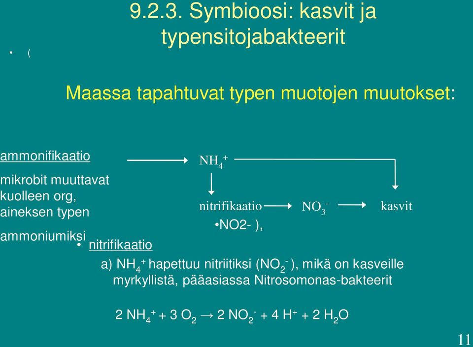 ammonifikaatio mikrobit muuttavat kuolleen org, aineksen typen ammoniumiksi nitrifikaatio NH 4