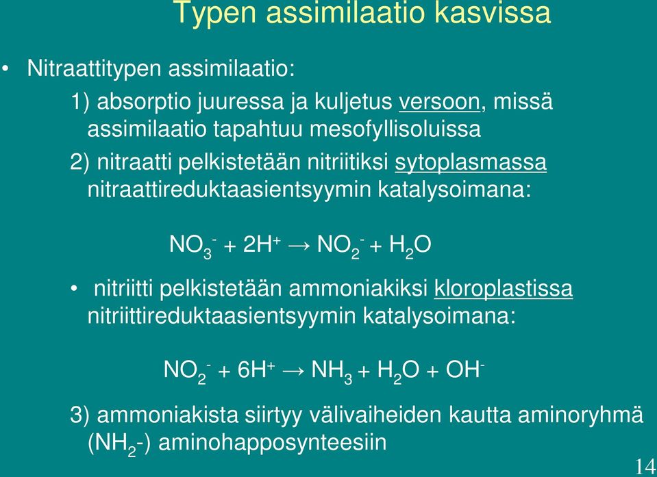 katalysoimana: NO 3- + 2H + NO 2- + H 2 O nitriitti pelkistetään ammoniakiksi kloroplastissa nitriittireduktaasientsyymin