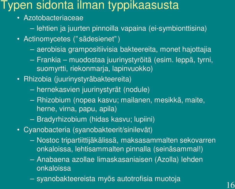 leppä, tyrni, suomyrtti, riekonmarja, lapinvuokko) Rhizobia (juurinystyräbakteereita) hernekasvien juurinystyrät (nodule) Rhizobium (nopea kasvu; mailanen, mesikkä, maite, herne,