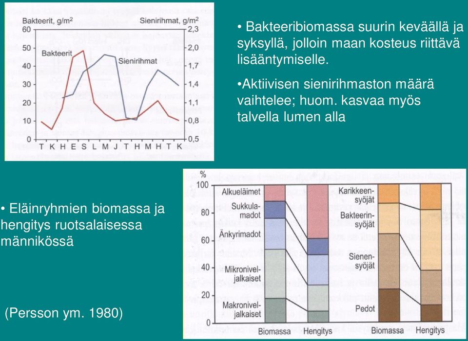 Aktiivisen sienirihmaston määrä vaihtelee; huom.