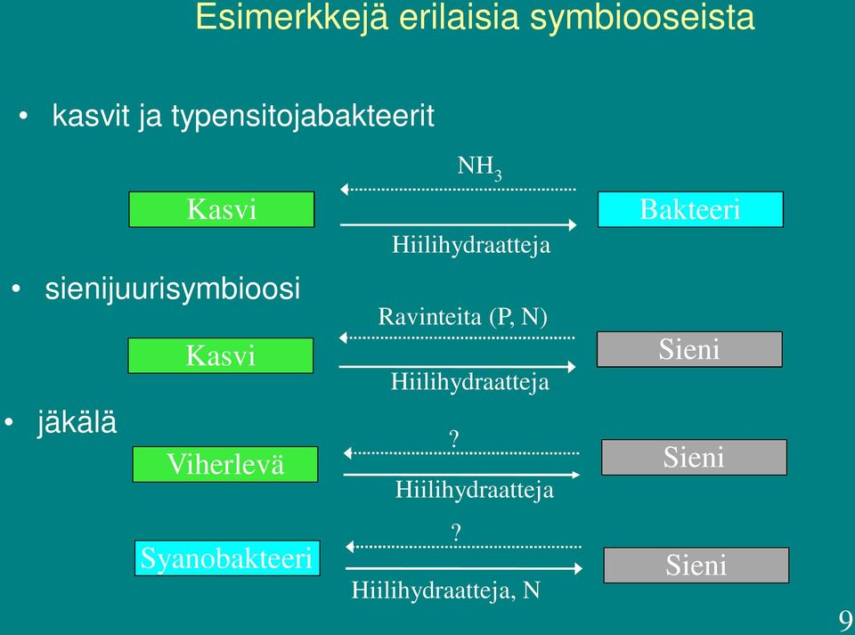 sienijuurisymbioosi Kasvi jäkälä Viherlevä Ravinteita (P, N)