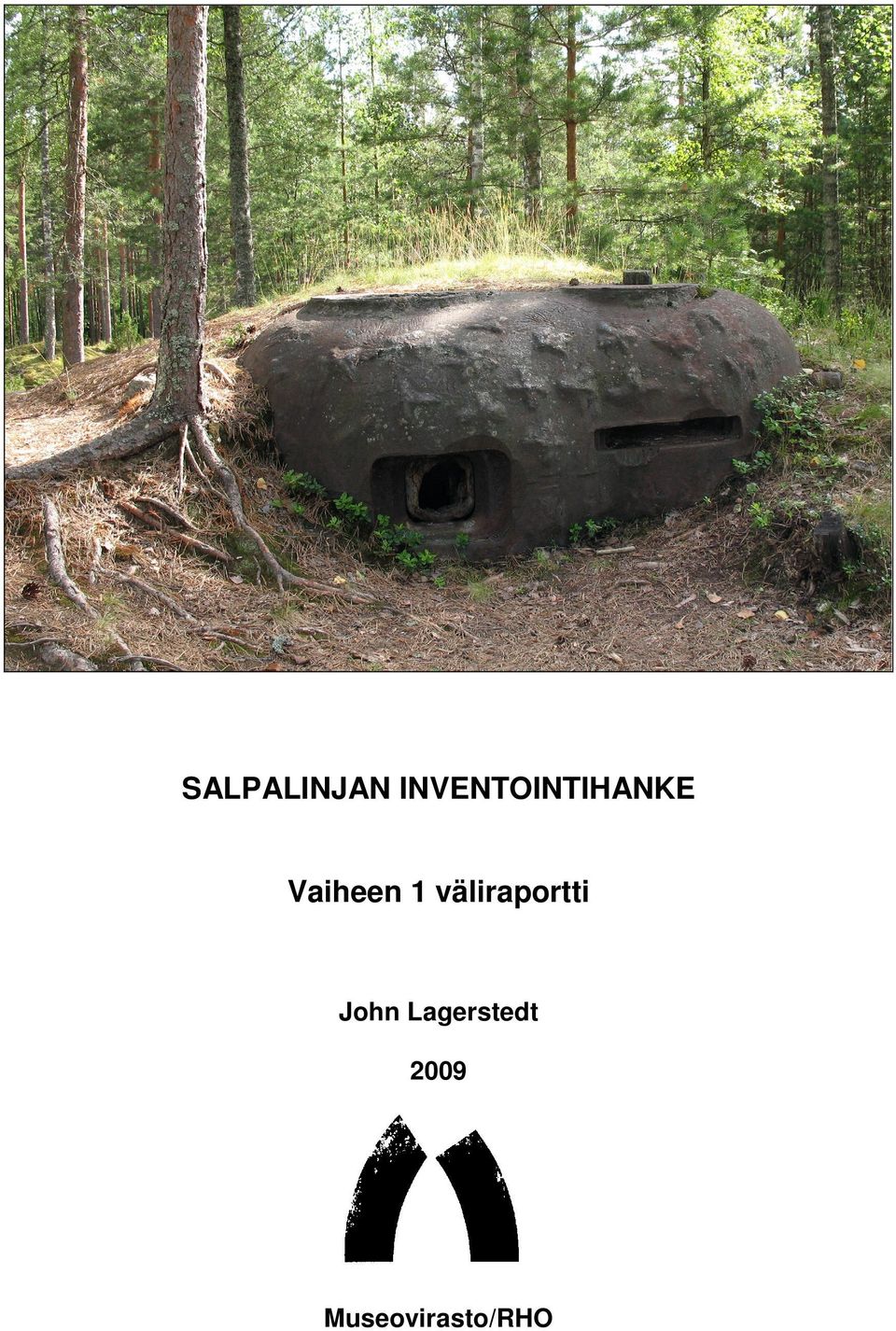 Vaiheen 1 väliraportti