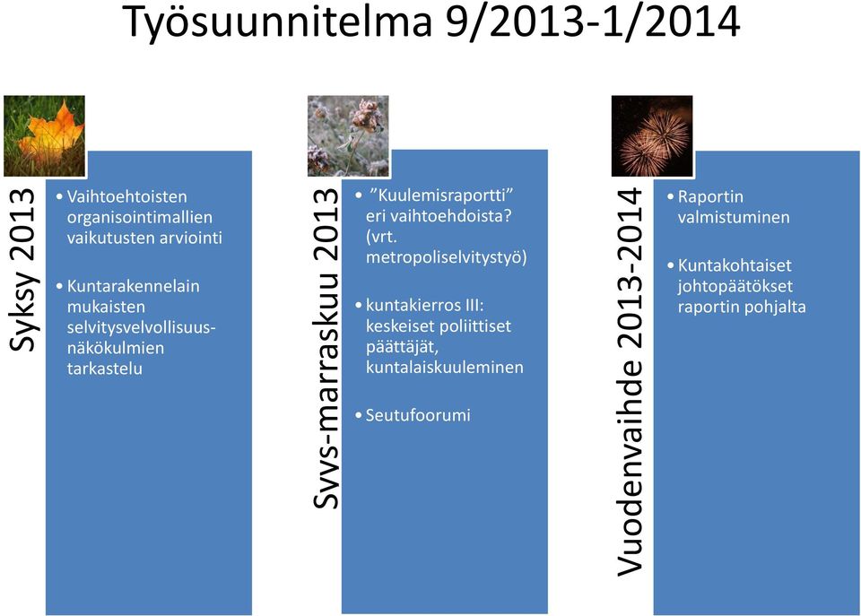 tarkastelu Kuulemisraportti eri vaihtoehdoista? (vrt.