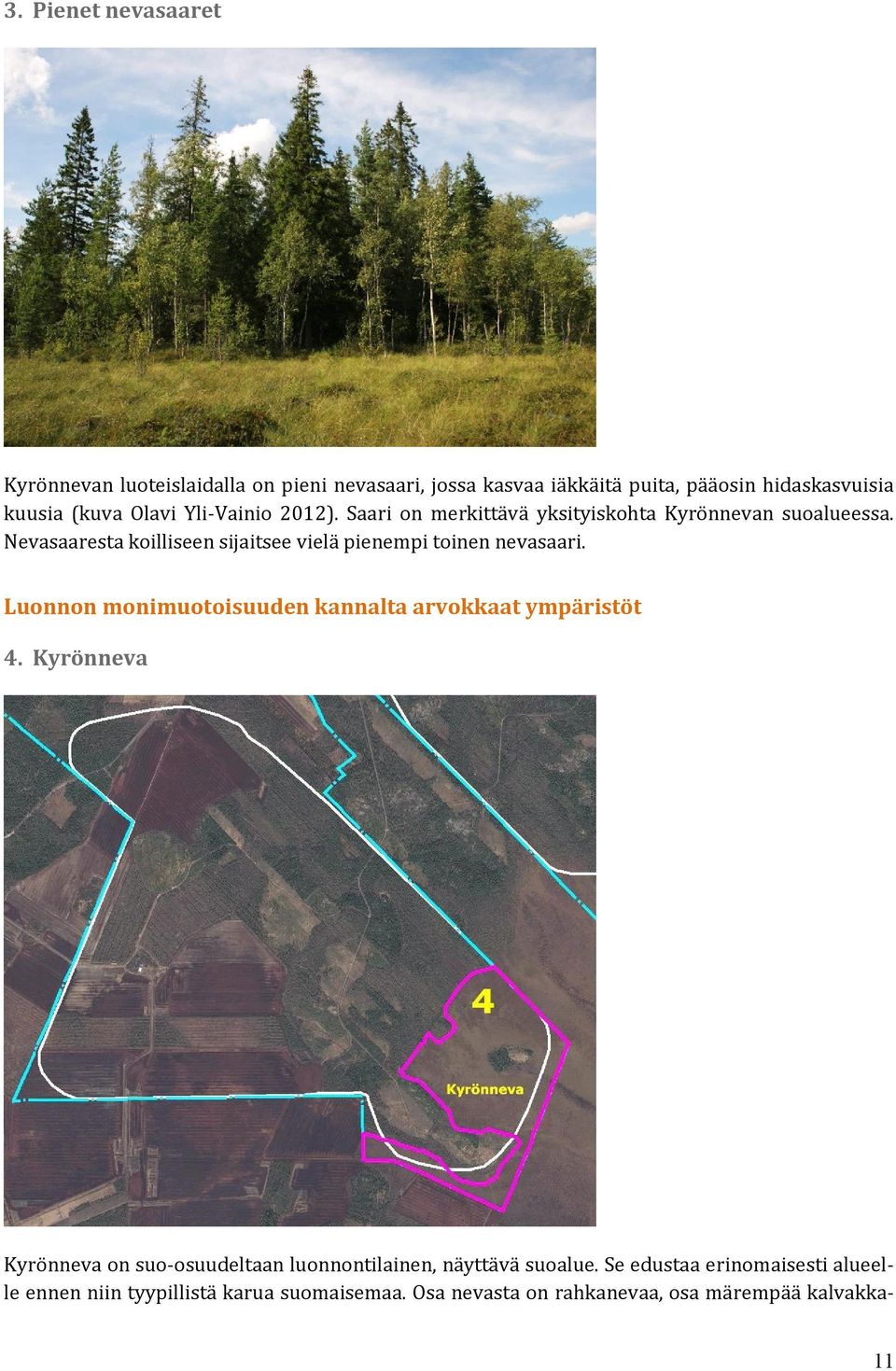 Nevasaaresta koilliseen sijaitsee vielä pienempi toinen nevasaari. Luonnon monimuotoisuuden kannalta arvokkaat ympäristöt 4.