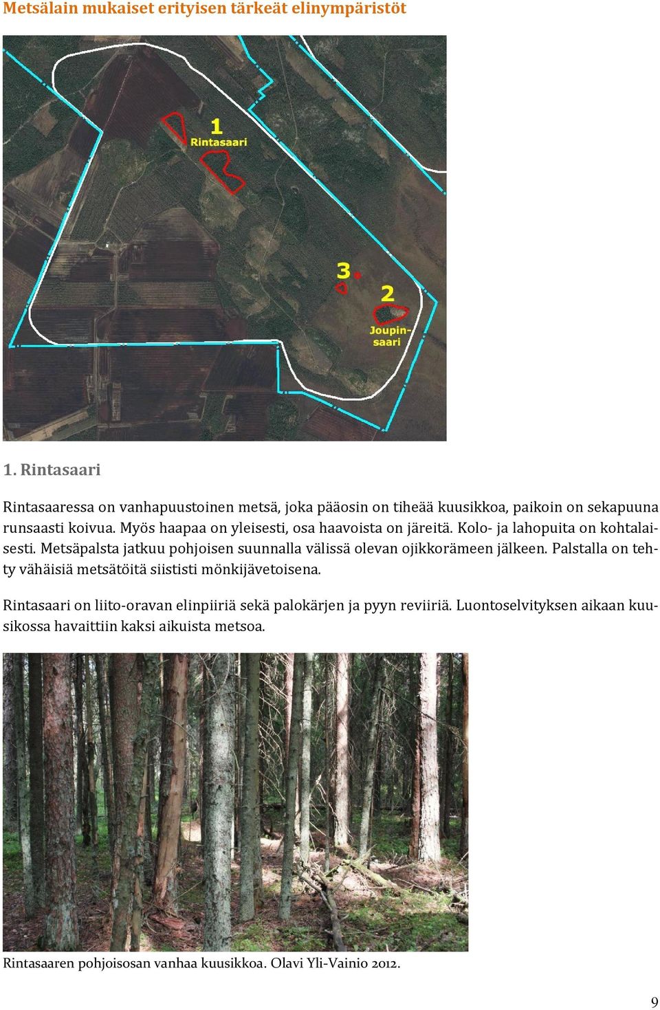 Myös haapaa on yleisesti, osa haavoista on järeitä. Kolo- ja lahopuita on kohtalaisesti.