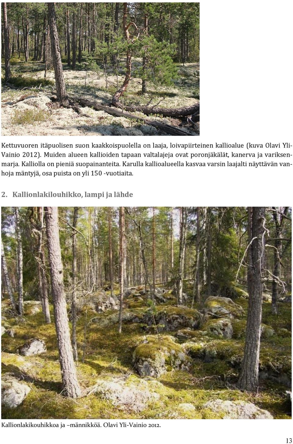 Kalliolla on pieniä suopainanteita.