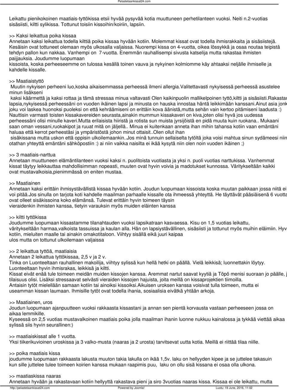 Kesäisin ovat tottuneet olemaan myös ulkosalla valjaissa. Nuorempi kissa on 4-vuotta, oikea lössykkä ja osaa noutaa teipistä tehdyn pallon kun nakkaa. Vanhempi on 7-vuotta.