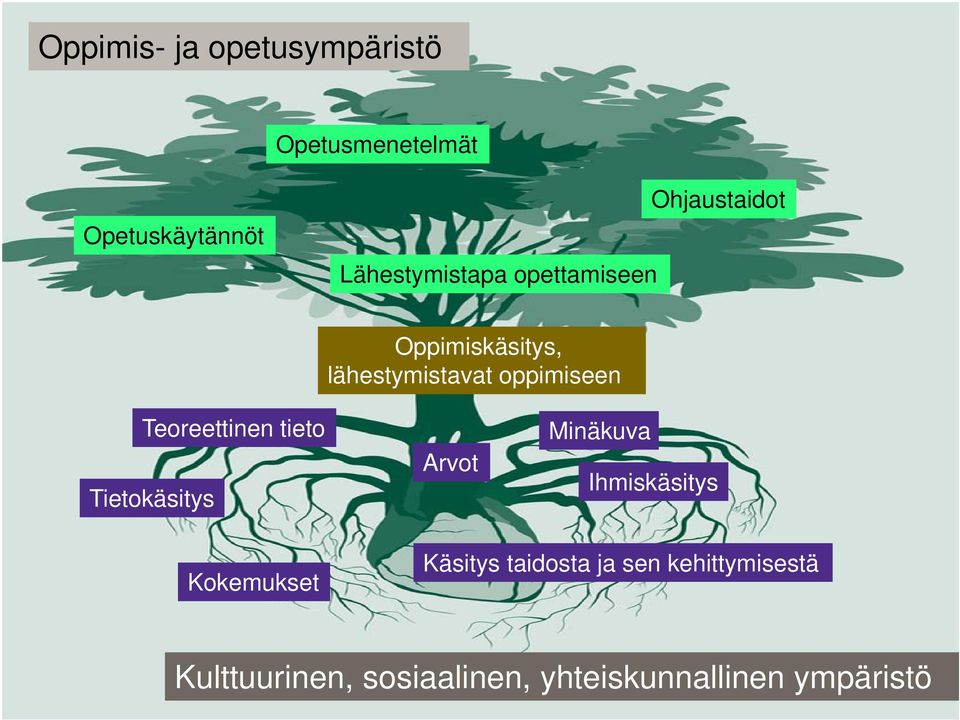 Teoreettinen tieto Tietokäsitys Arvot Minäkuva Ihmiskäsitys Kokemukset