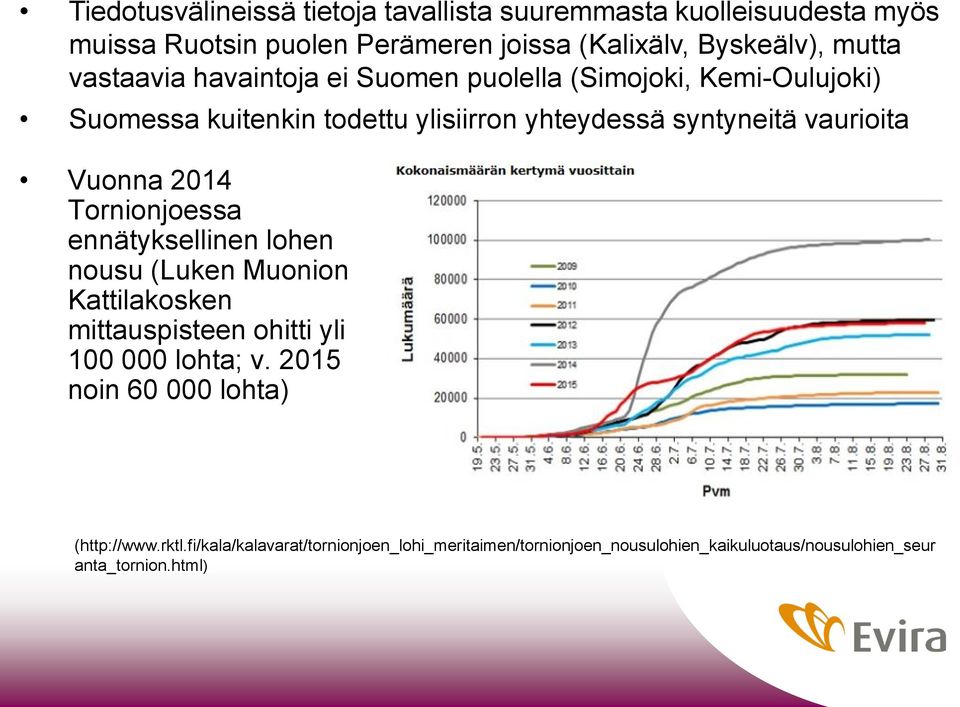 Vuonna 2014 Tornionjoessa ennätyksellinen lohen nousu (Luken Muonion Kattilakosken mittauspisteen ohitti yli 100 000 lohta; v.