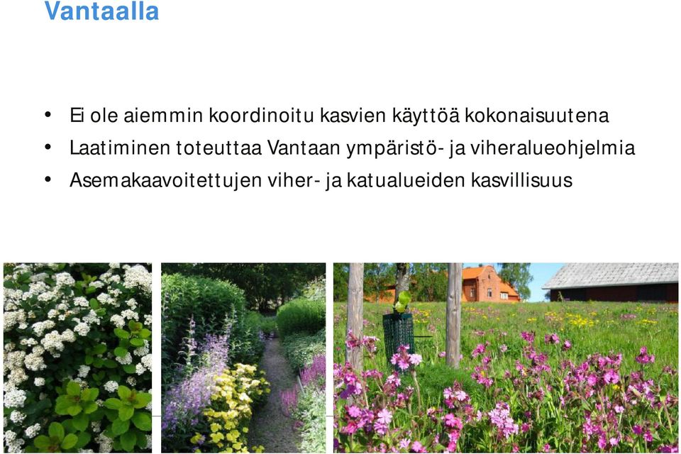 Vantaan ympäristö- ja viheralueohjelmia