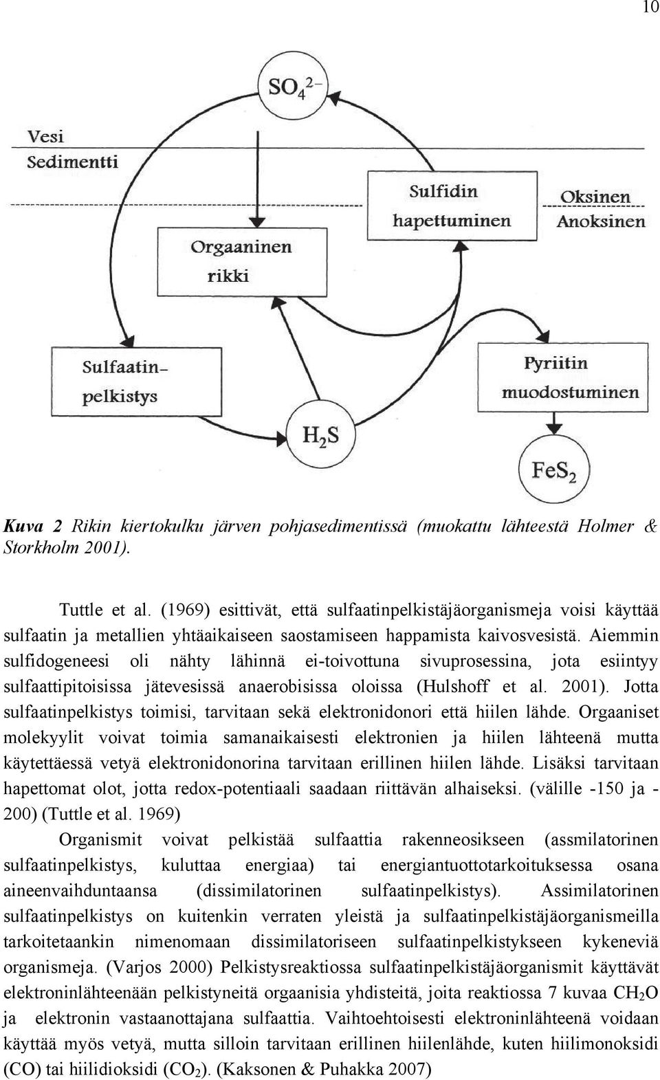 Aiemmin sulfidogeneesi oli nähty lähinnä ei-toivottuna sivuprosessina, jota esiintyy sulfaattipitoisissa jätevesissä anaerobisissa oloissa (Hulshoff et al. 2001).