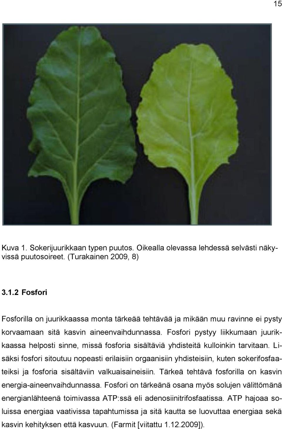 Lisäksi fosfori sitoutuu nopeasti erilaisiin orgaanisiin yhdisteisiin, kuten sokerifosfaateiksi ja fosforia sisältäviin valkuaisaineisiin.