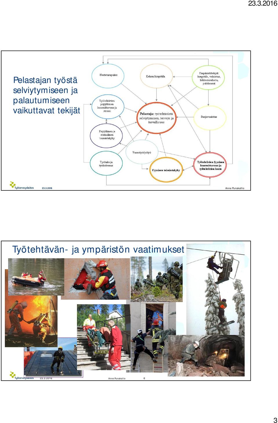 3.2016 Anne Punakallio Työtehtävän- ja