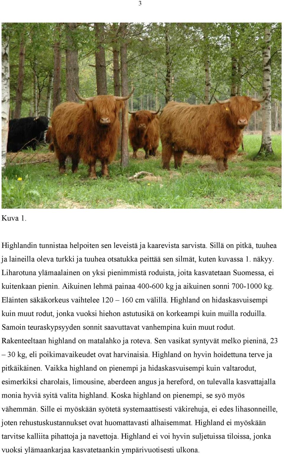 Eläinten säkäkorkeus vaihtelee 120 160 cm välillä. Highland on hidaskasvuisempi kuin muut rodut, jonka vuoksi hiehon astutusikä on korkeampi kuin muilla roduilla.