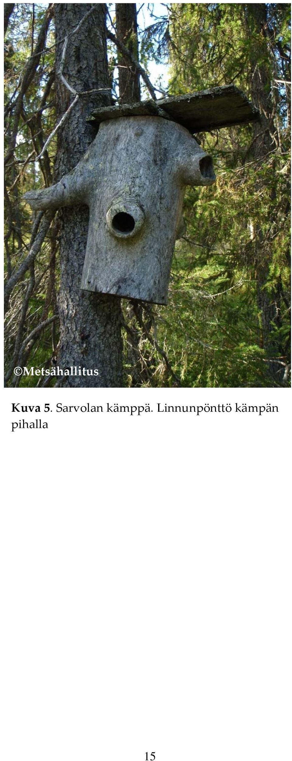 Sarvolan kämppä.