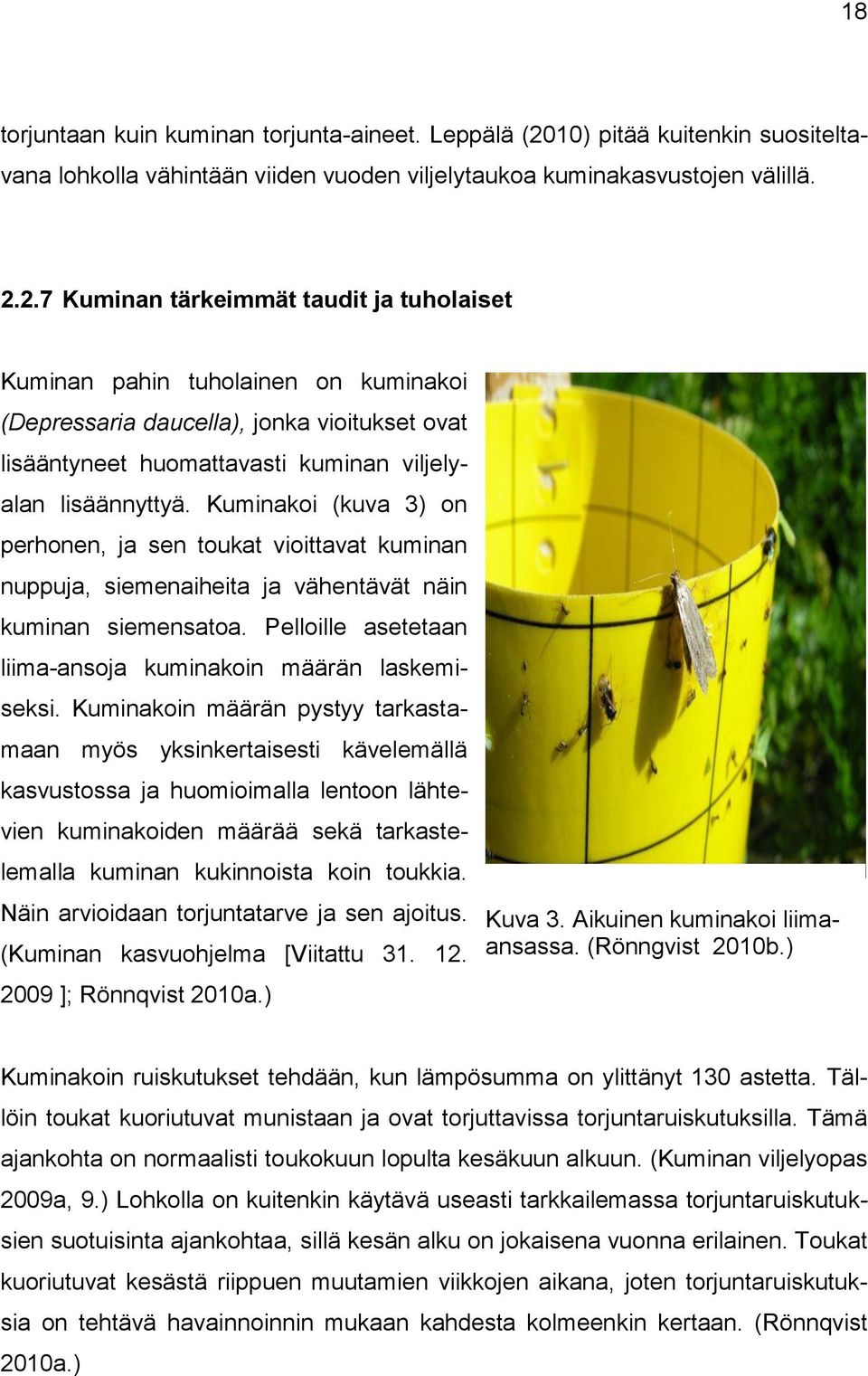 2.7 Kuminan tärkeimmät taudit ja tuholaiset Kuminan pahin tuholainen on kuminakoi (Depressaria daucella), jonka vioitukset ovat lisääntyneet huomattavasti kuminan viljelyalan lisäännyttyä.