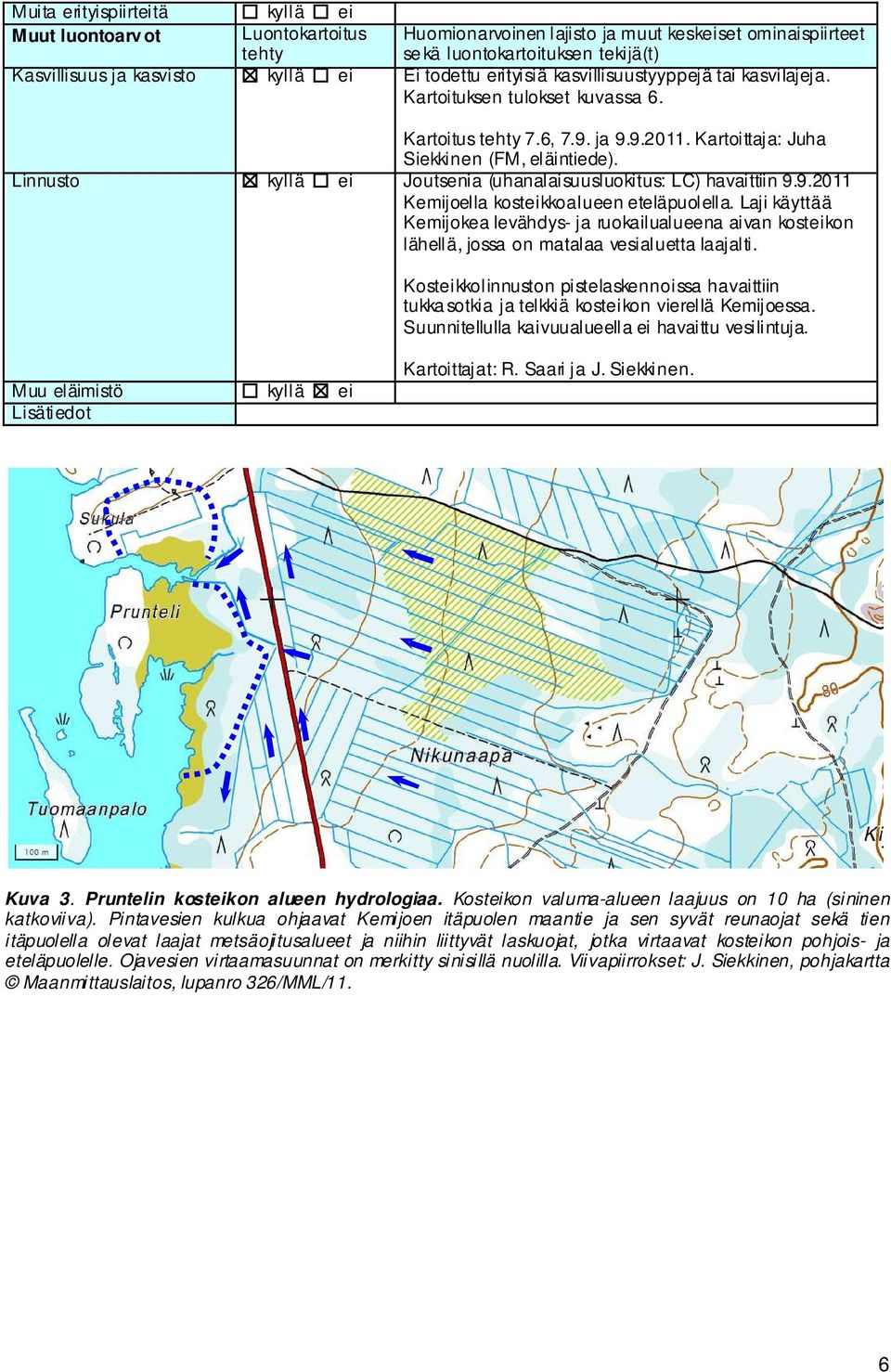 Linnusto kyllä ei Joutsenia (uhanalaisuusluokitus: LC) havaittiin 9.9.2011 Kemijoella kosteikkoalueen eteläpuolella.