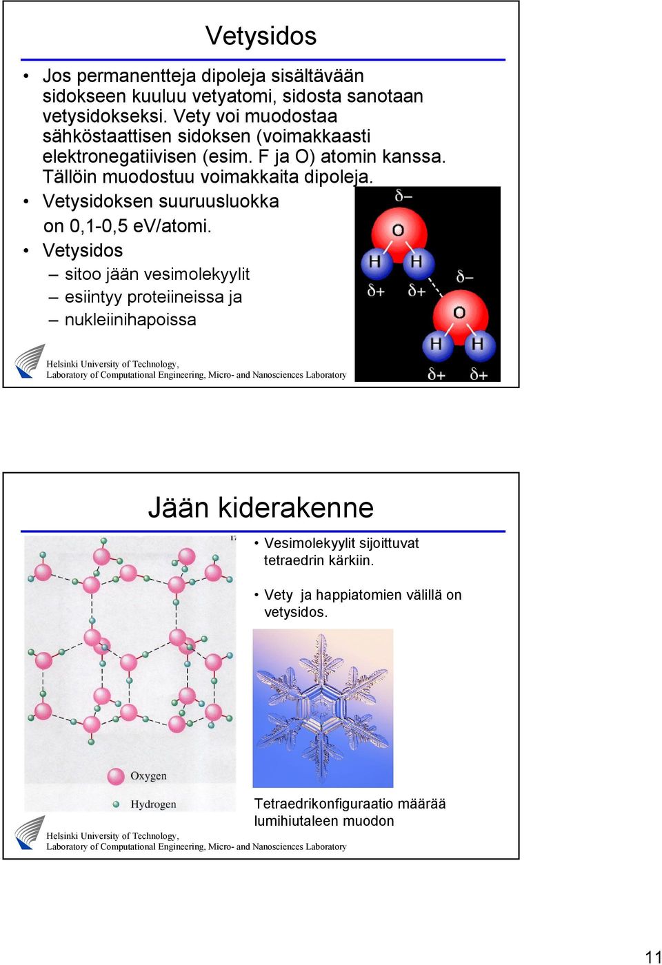 Tällöin muodostuu voimakkaita dipoleja. Vetysidoksen suuruusluokka on 0,-0,5 ev/atomi.