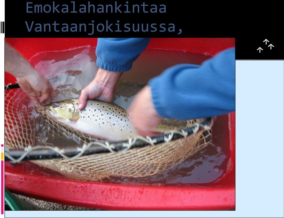 Helsinki Lisää kuva