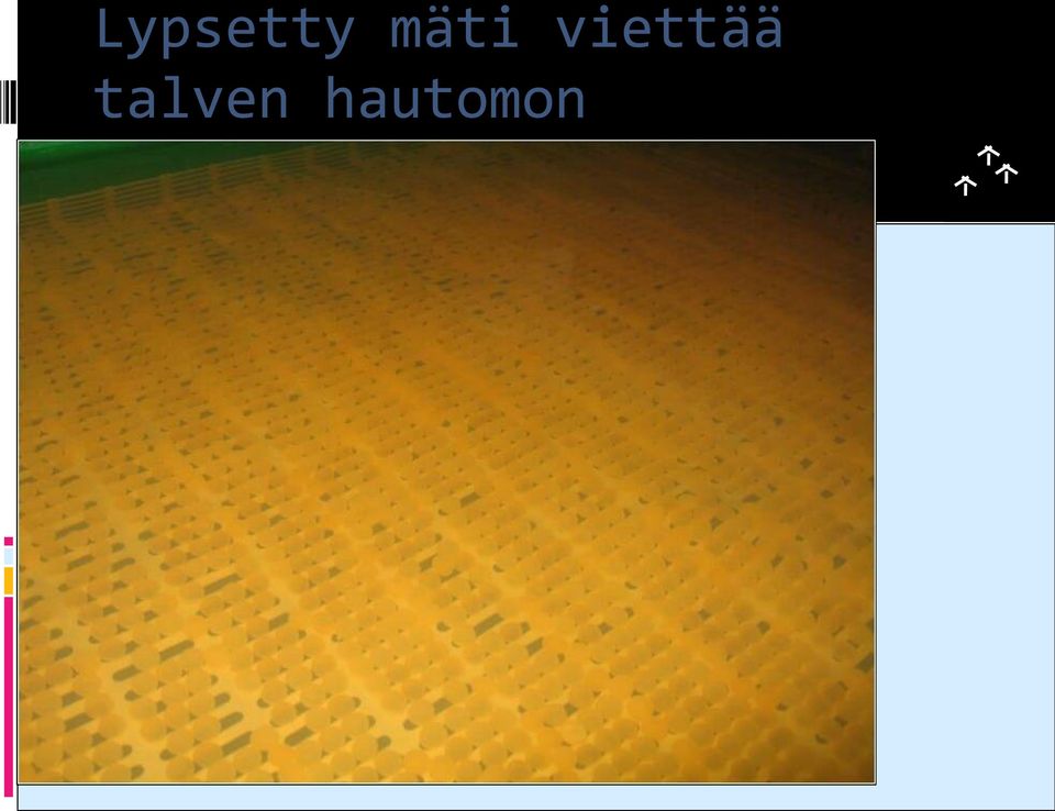 hautomon altaissa.
