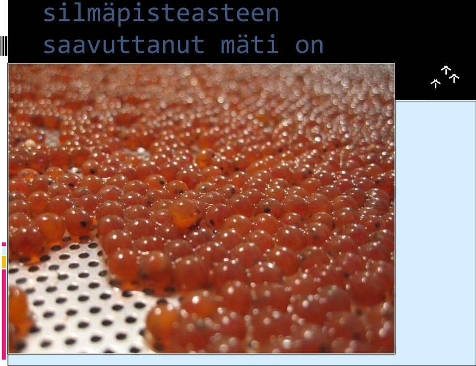 valmista istutettavaksi