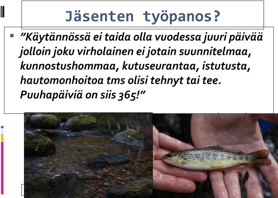 virholainen ei jotain suunnitelmaa, kunnostushommaa,