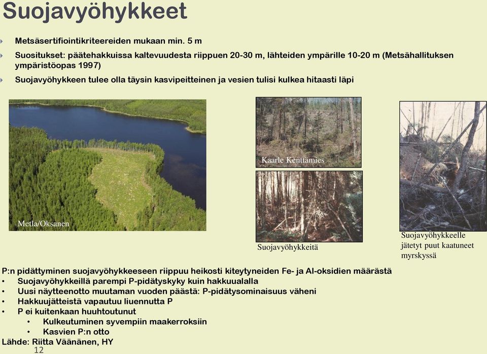 vesien tulisi kulkea hitaasti läpi Kaarle Kenttämies Metla/Oksanen P:n pidättyminen suojavyöhykkeeseen riippuu heikosti kiteytyneiden Fe- ja Al-oksidien määrästä Suojavyöhykkeillä parempi