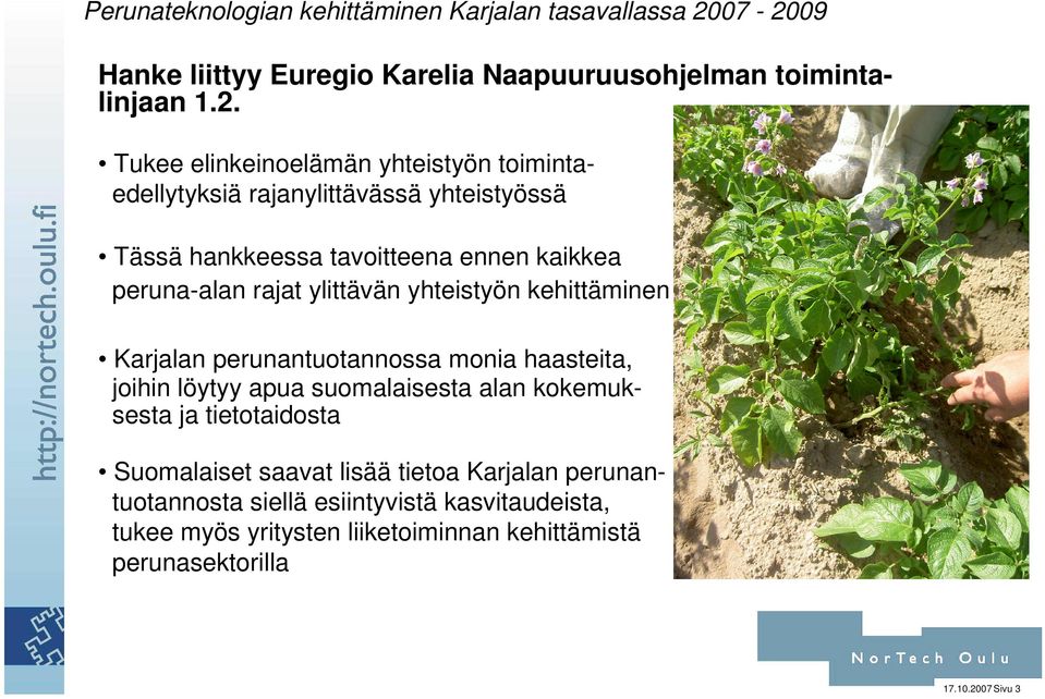 peruna-alan rajat ylittävän yhteistyön kehittäminen Karjalan perunantuotannossa monia haasteita, joihin löytyy apua suomalaisesta alan