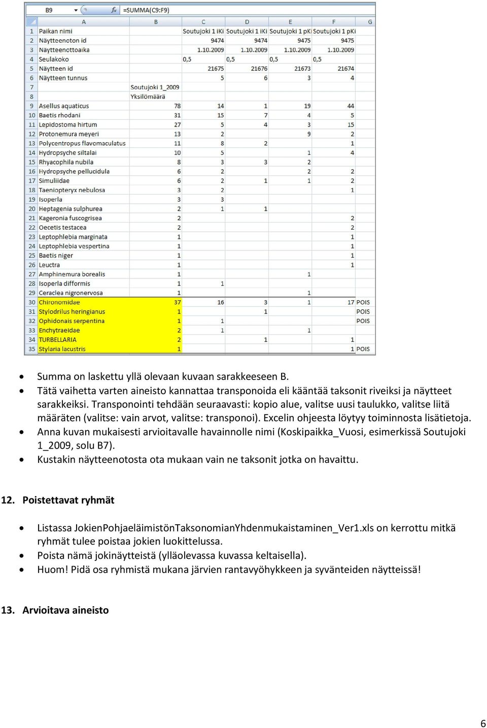 Anna kuvan mukaisesti arvioitavalle havainnolle nimi (Koskipaikka_Vuosi, esimerkissä Soutujoki 1_2009, solu B7). Kustakin näytteenotosta ota mukaan vain ne taksonit jotka on havaittu. 12.