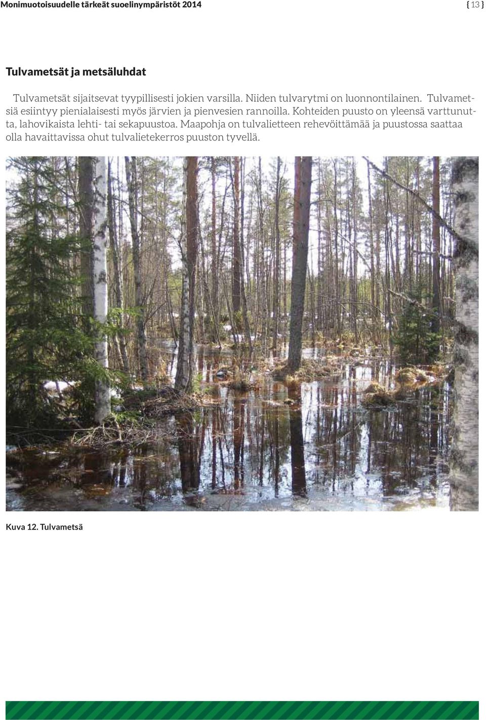 Tulvametsiä esiintyy pienialaisesti myös järvien ja pienvesien rannoilla.
