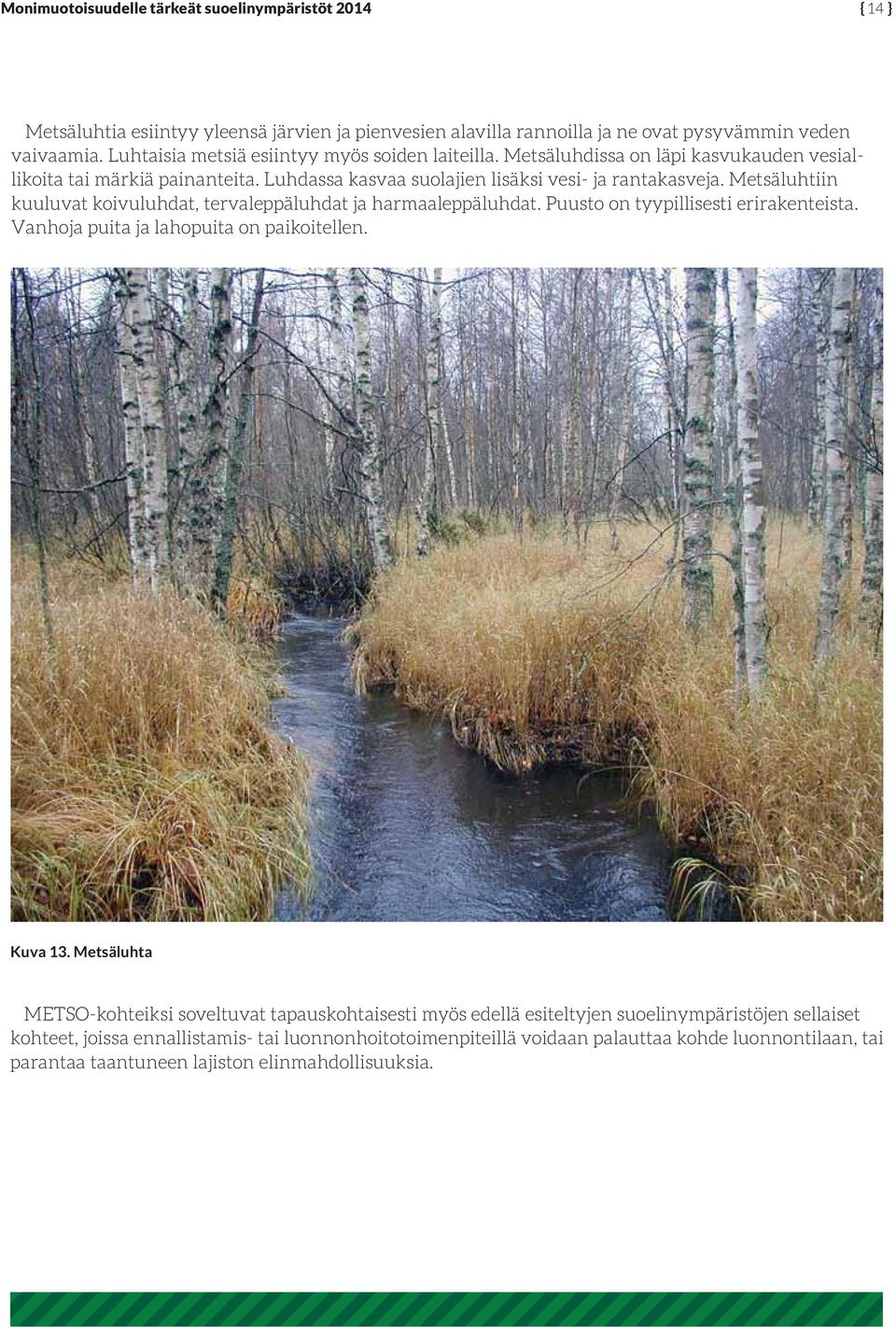 Metsäluhtiin kuuluvat koivuluhdat, tervaleppäluhdat ja harmaaleppäluhdat. Puusto on tyypillisesti erirakenteista. Vanhoja puita ja lahopuita on paikoitellen. Kuva 13.