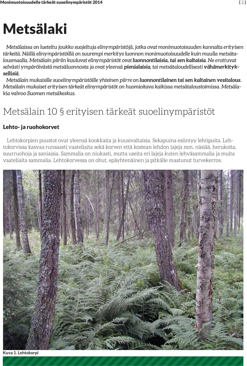 Ne erottuvat selvästi ympäröivästä metsäluonnosta ja ovat yleensä pienialaisia, tai metsätaloudellisesti vähämerkityksellisiä.